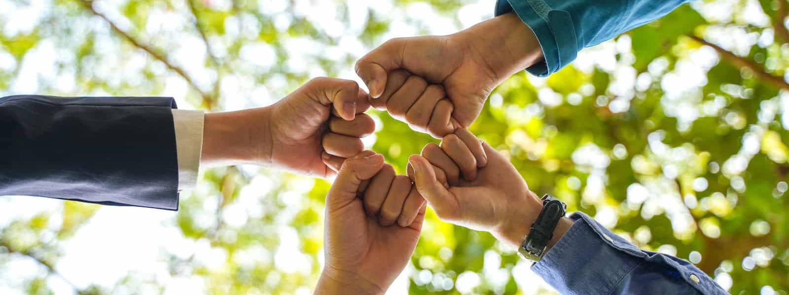 กลยุทธ์โครงการ CSR