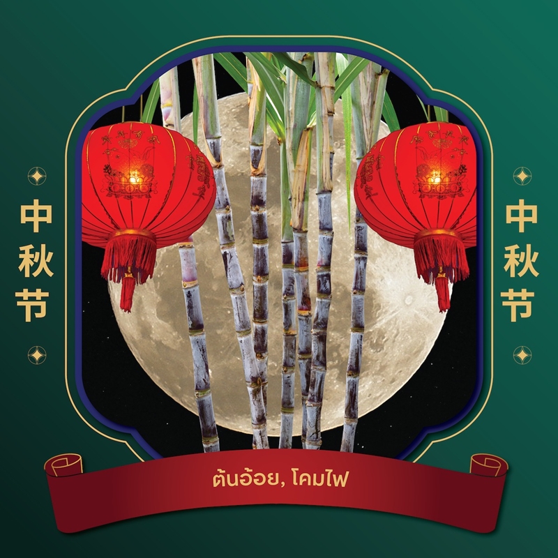 ครบเครื่องเรื่องขนมไหว้พระจันทร์